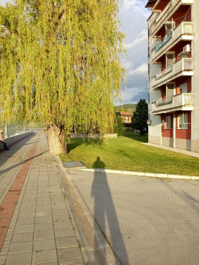 Apartman Bogojevic Golubac Exterior foto